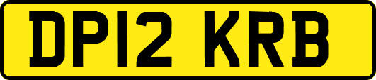 DP12KRB