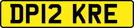 DP12KRE