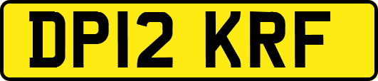 DP12KRF