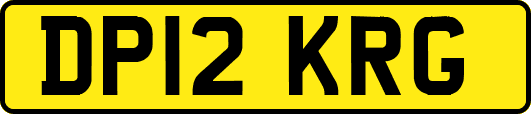 DP12KRG