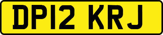 DP12KRJ