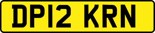 DP12KRN