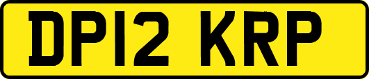 DP12KRP