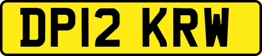 DP12KRW