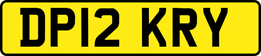 DP12KRY