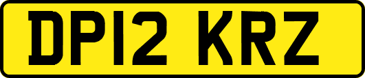 DP12KRZ