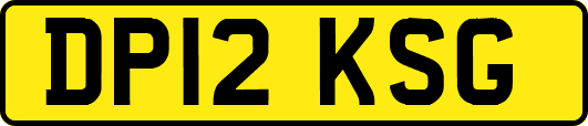 DP12KSG