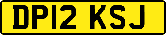 DP12KSJ