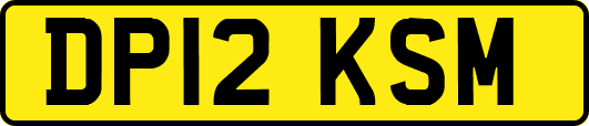 DP12KSM