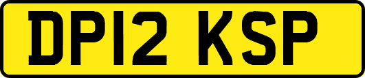 DP12KSP