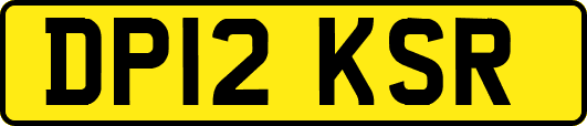 DP12KSR