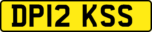 DP12KSS
