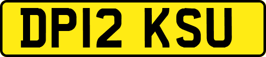 DP12KSU