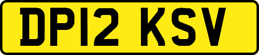 DP12KSV