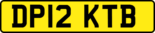 DP12KTB