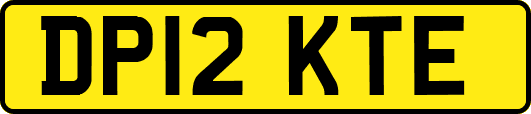 DP12KTE