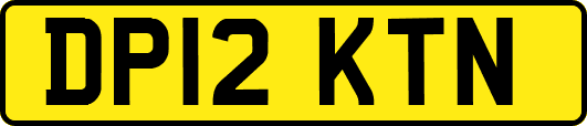 DP12KTN