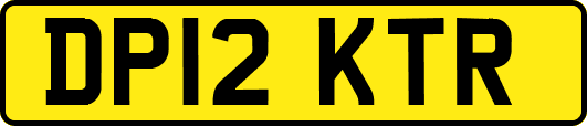 DP12KTR