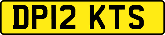 DP12KTS