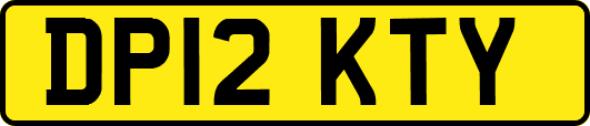 DP12KTY