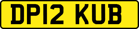 DP12KUB