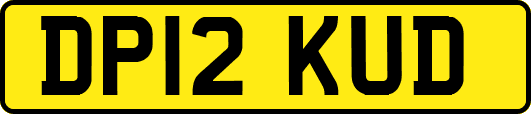 DP12KUD