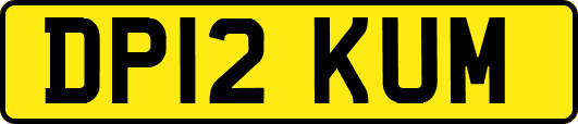 DP12KUM