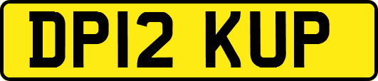 DP12KUP
