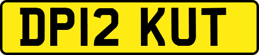 DP12KUT