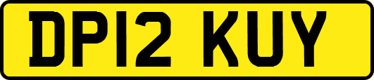 DP12KUY