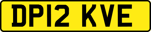 DP12KVE