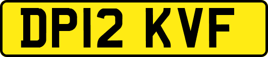 DP12KVF