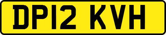 DP12KVH