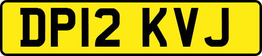 DP12KVJ
