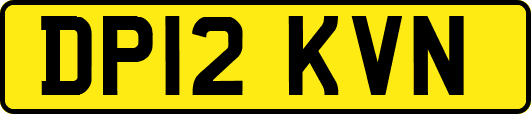 DP12KVN