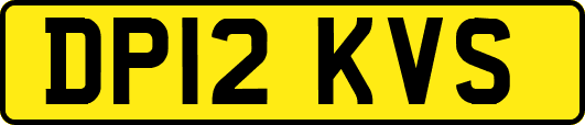 DP12KVS