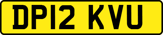 DP12KVU