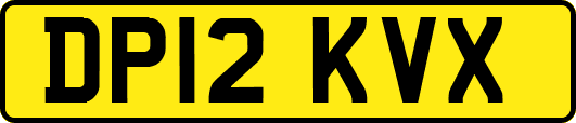 DP12KVX