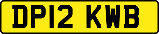 DP12KWB