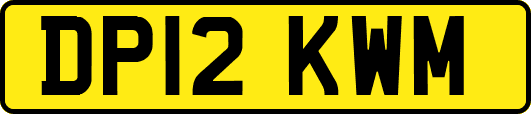 DP12KWM