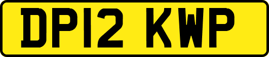 DP12KWP