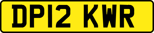 DP12KWR
