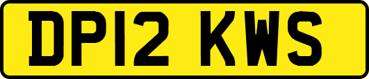 DP12KWS