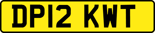 DP12KWT