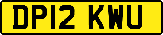 DP12KWU