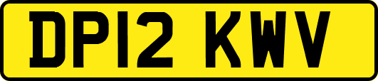 DP12KWV