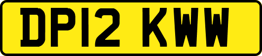 DP12KWW