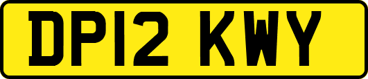DP12KWY