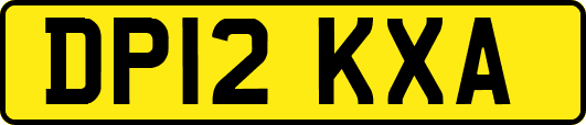 DP12KXA