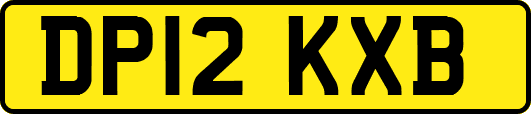DP12KXB